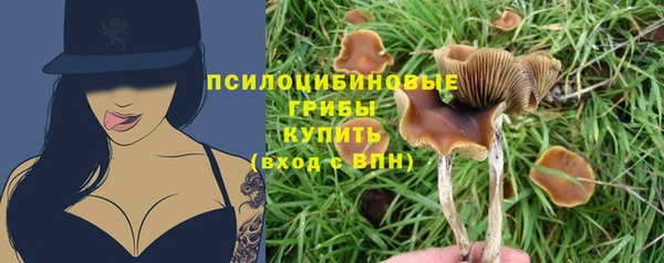 соль курить ск Аркадак