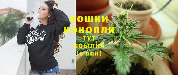 соль ск Арсеньев