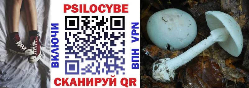 Псилоцибиновые грибы Psilocybe  Туринск 